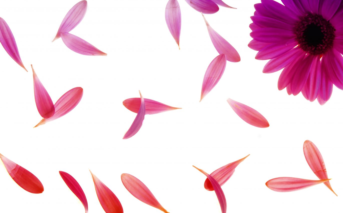 The decisions we make are not as important as why we make them.